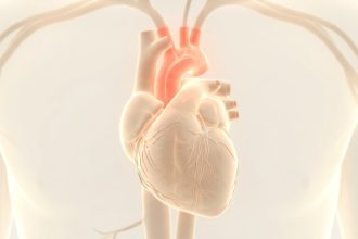 Ilustración de un corazón con el arco aórtico resaltado