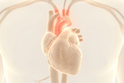 Ilustración de un corazón con el arco aórtico resaltado